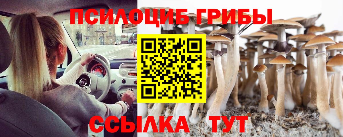 Галлюциногенные грибы Magic Shrooms Сергиев Посад